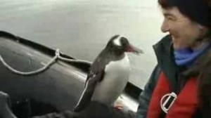 One lucky penguin