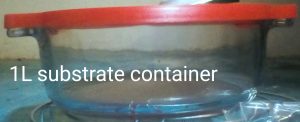 1L substrate container